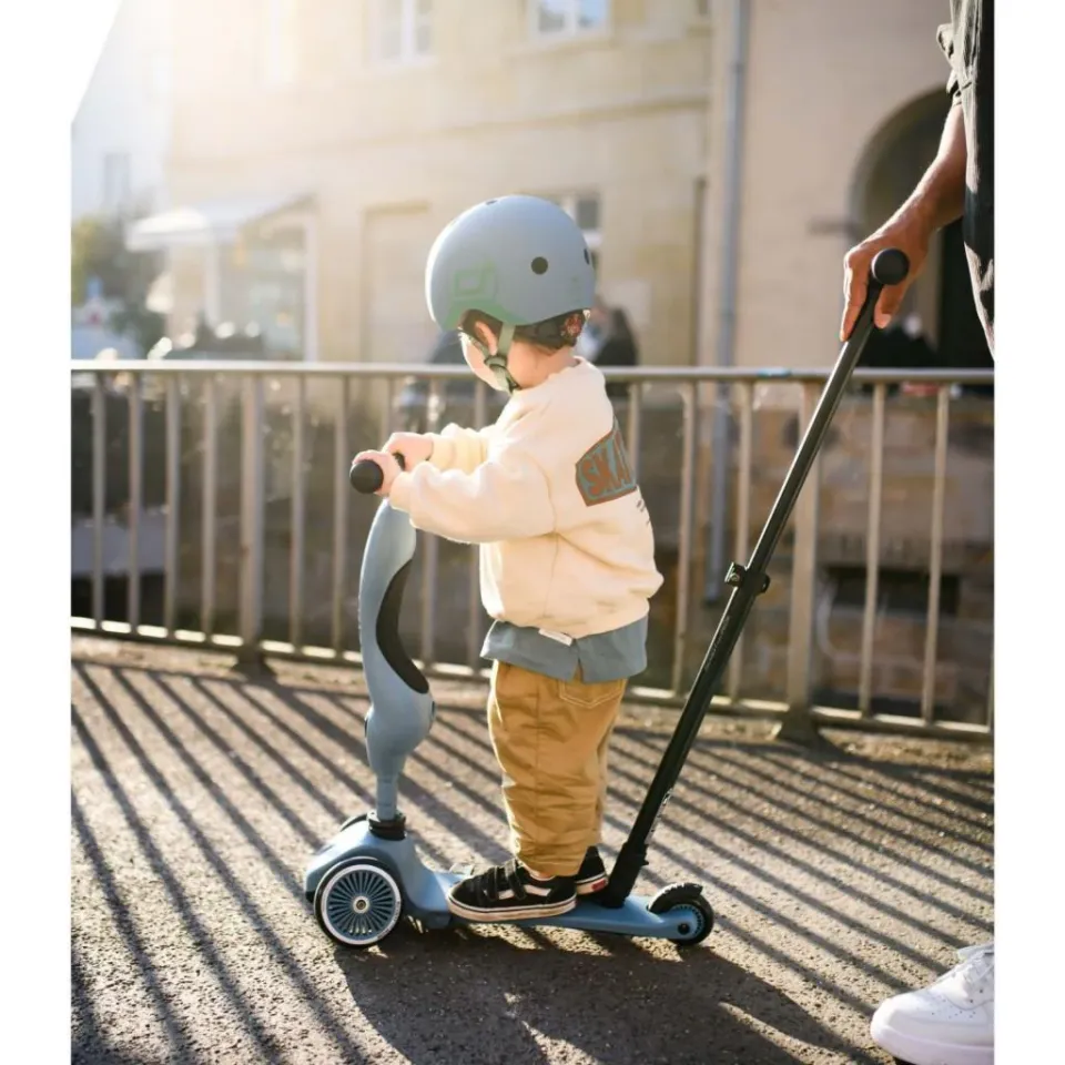 Scoot and Ride Push and Go Ebeveyn Kontrollü Çocuk Scooter Steel